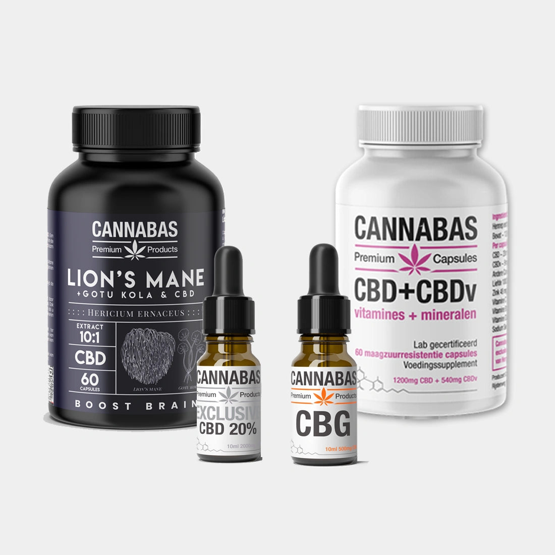 Actiebundel | 'Focus Now'