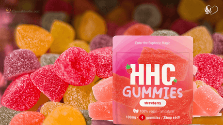 HHC gummies vs. THC gummies: wat is het verschil?