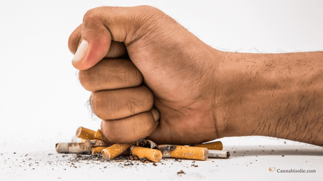 Stoptober 2025: Hoe CBD kan helpen bij het succesvol stoppen met roken