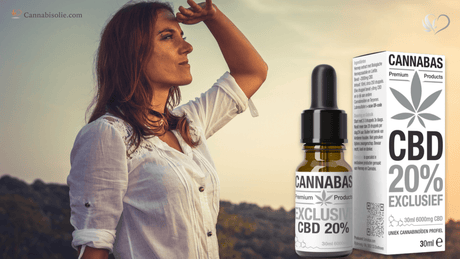 Hoe CBD onze kijk op cannabis veranderde