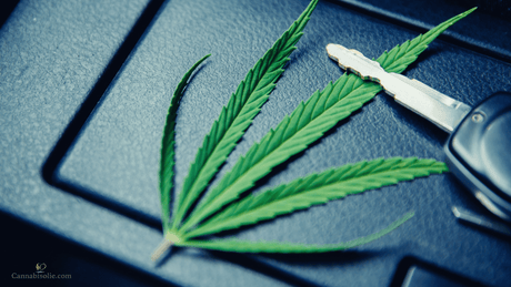 Autorijden met CBD olie – Mag het en is het veilig?