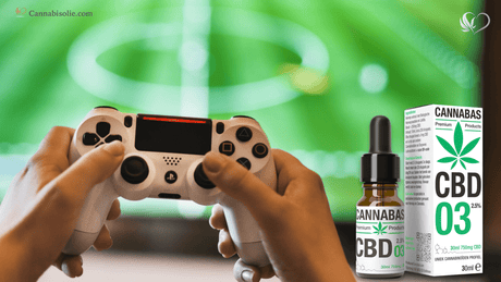 CBD olie voor gamers