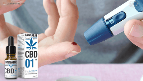 Alles over CBD en Insulinegevoeligheid