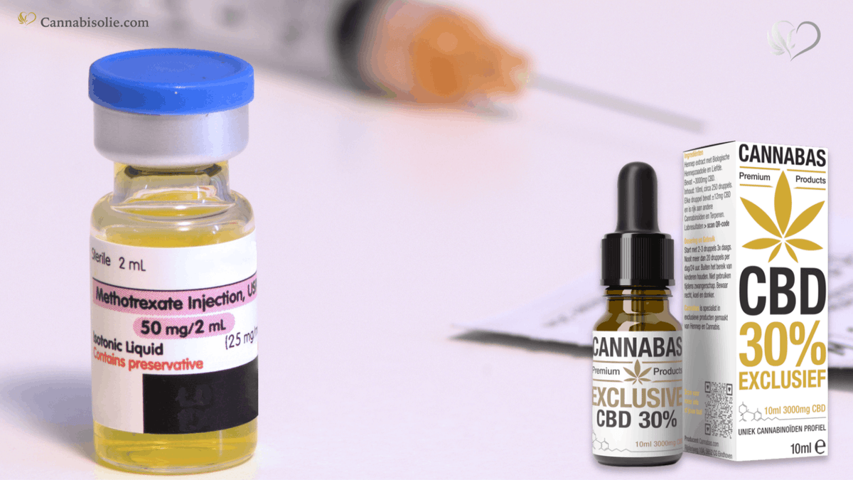 CBD olie en Methotrexaat combineren: Waar moet je op letten?