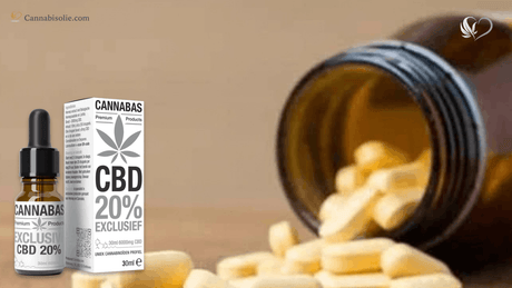 CBD olie en JAK-remmers combineren: Waar moet je op letten?