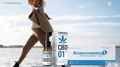 CBD olie en Acenocoumarol combineren: Kan dat?