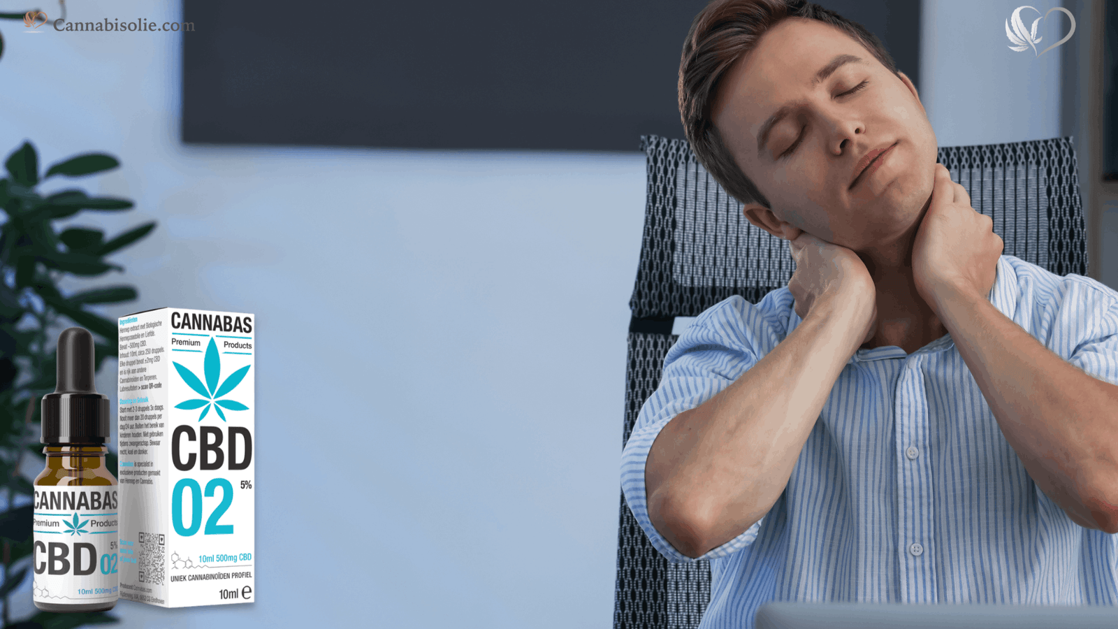 CBD en het Endorfinesysteem