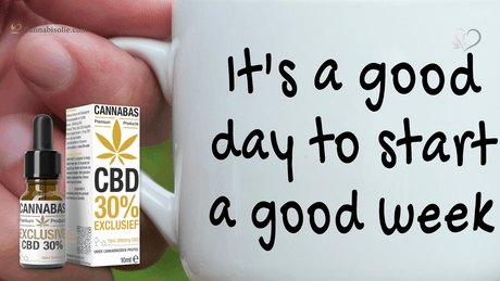 CBD olie en Maandag Stress: Zachter starten met je week