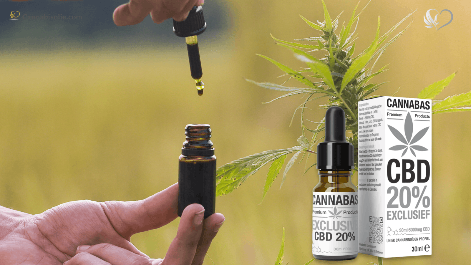 Hoe lang CBD olie onder de tong houden?