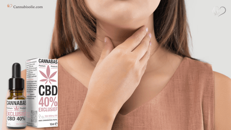 De invloed van CBD op de schildklier