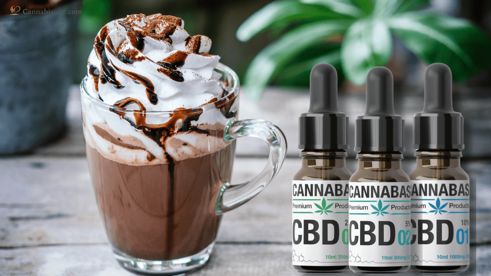 CBD olie Chocolademelk