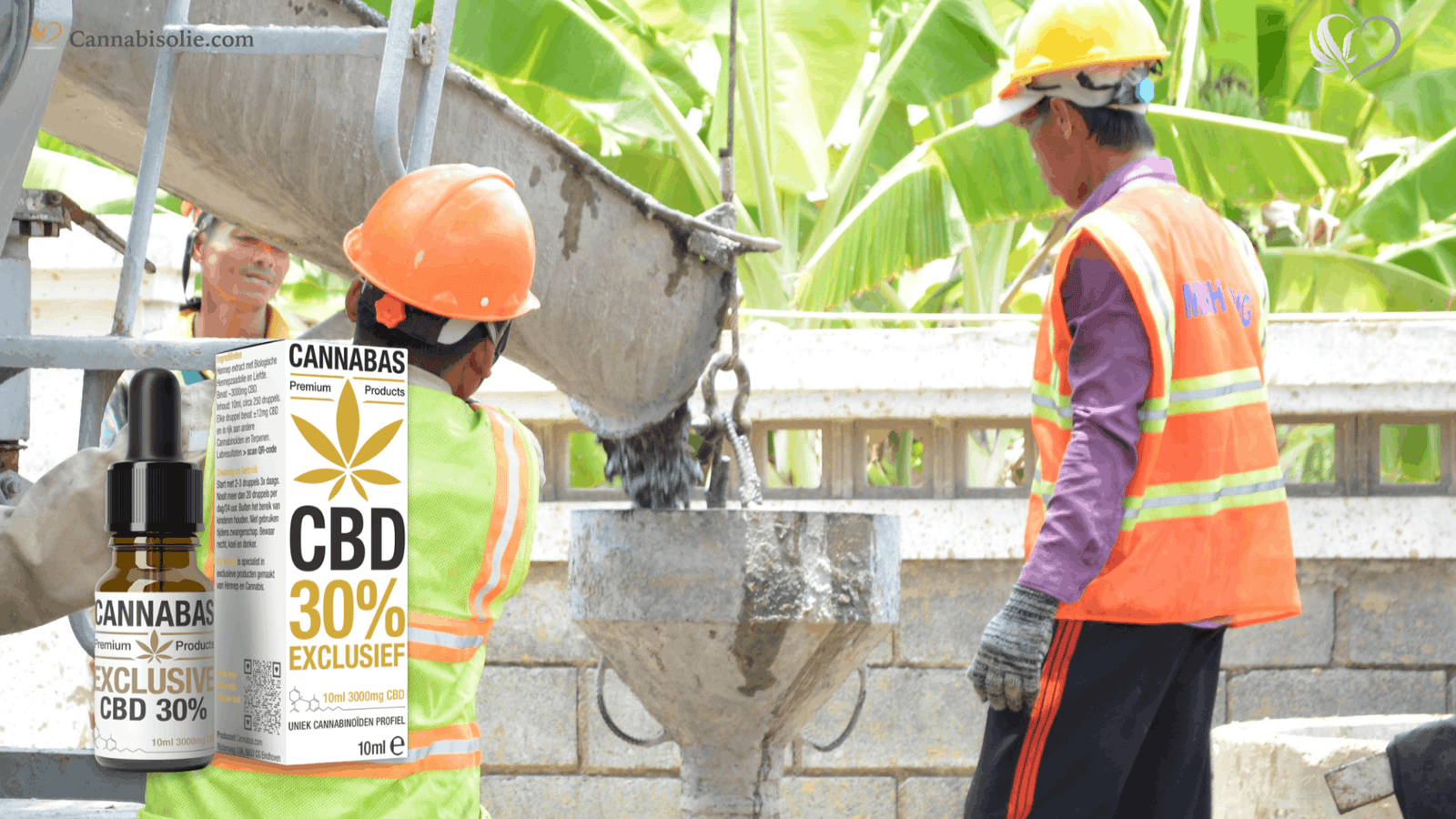 CBD olie voor Mensen met Fysiek Zwaar Werk