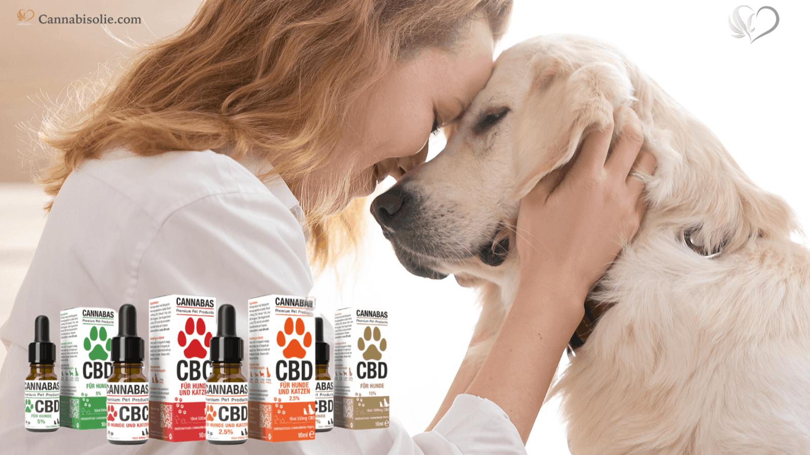 Is CBD olie geschikt voor oudere huisdieren? Complete gids