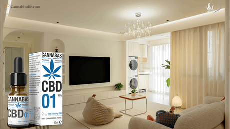 Hoe CBD olie past in een minimalistische levensstijl