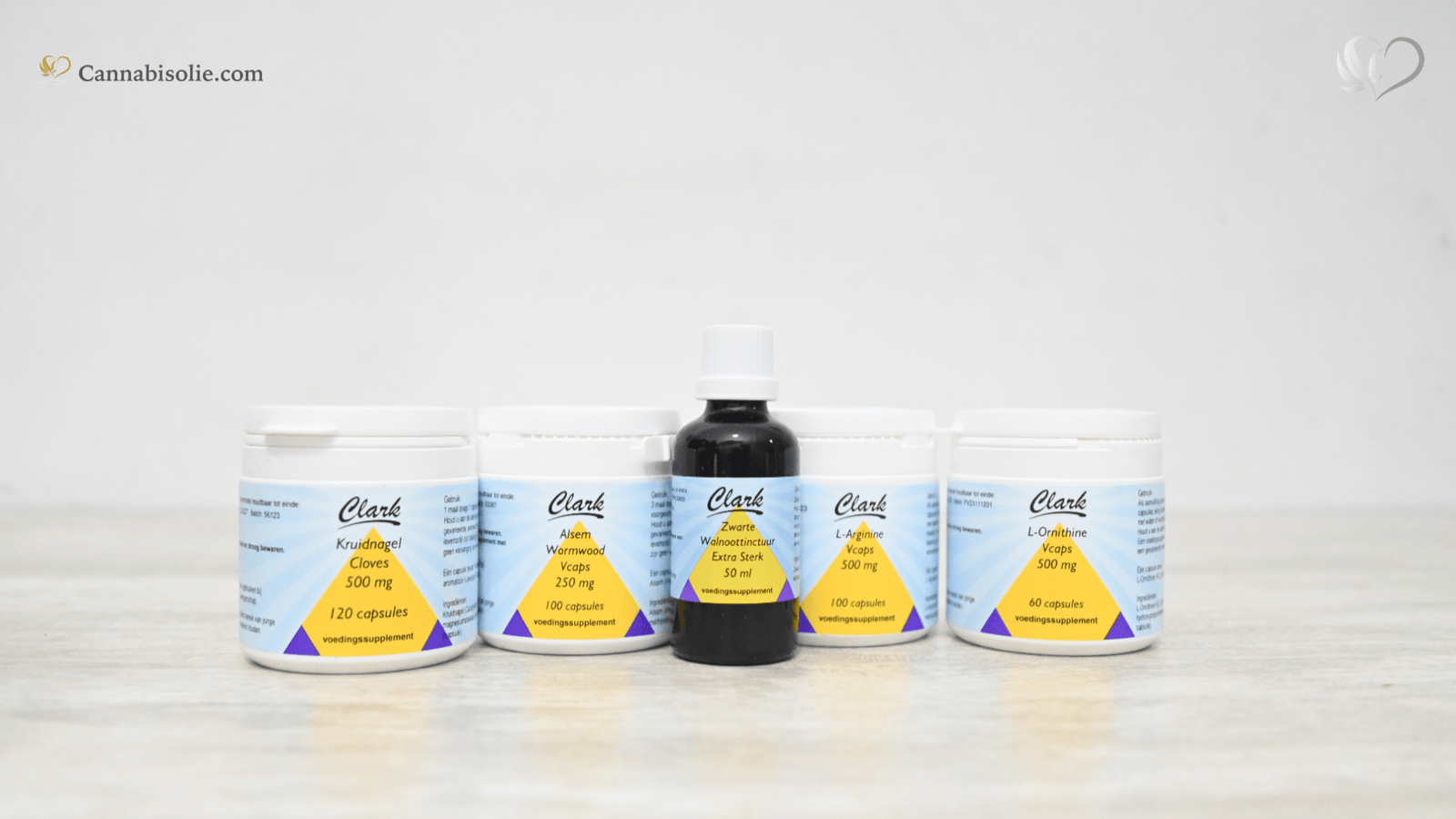 Parasieten in het lichaam: Hoe herken je dit en hoe te bestrijden