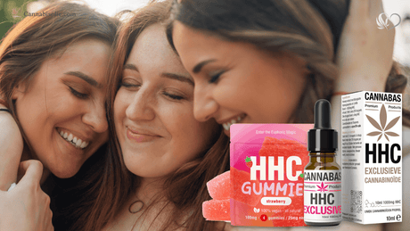 HHC olie en HHC gummies combineren