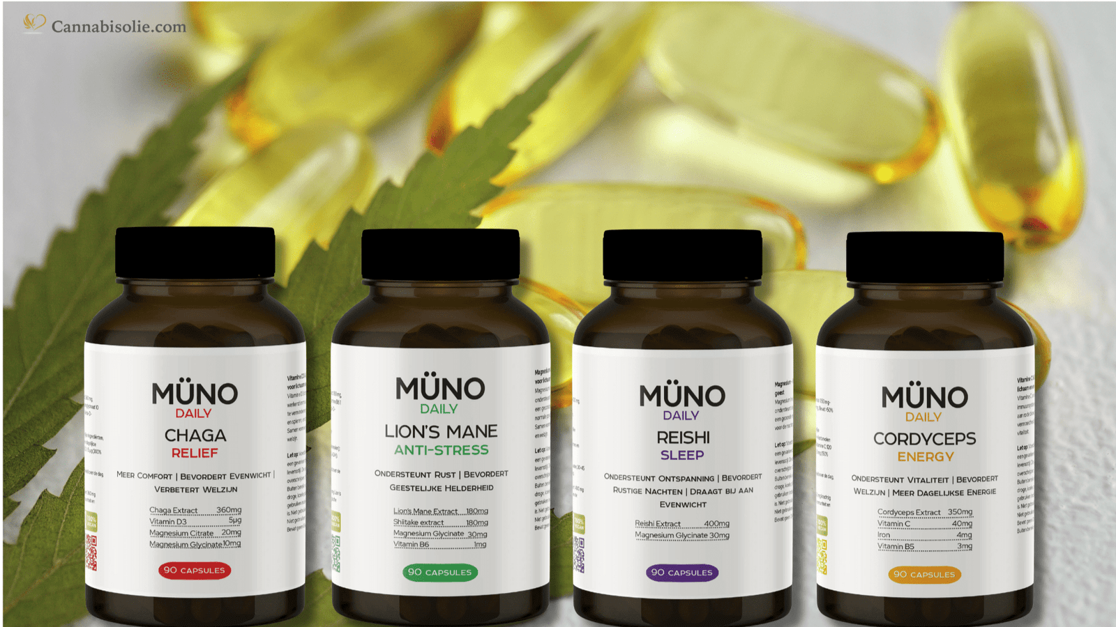 CBD capsules en het endocannabinoïde systeem (ECS)