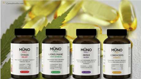 CBD capsules en het endocannabinoïde systeem (ECS)