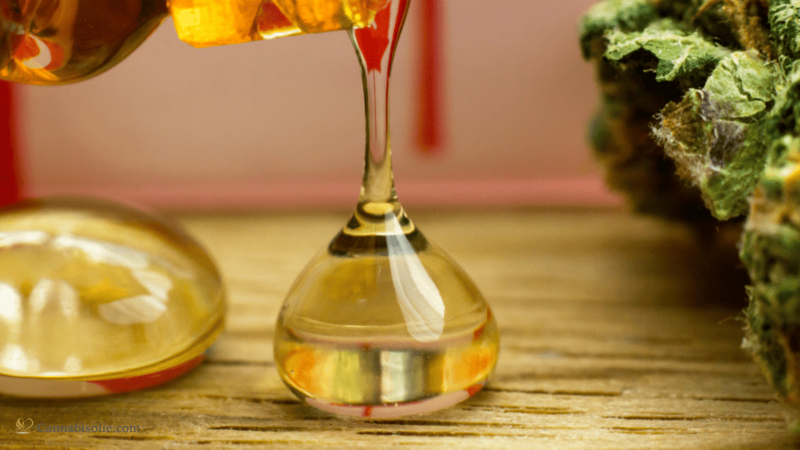 CBD Halfwaardetijd: Wat is de halfwaardetijd van CBD in het lichaam?