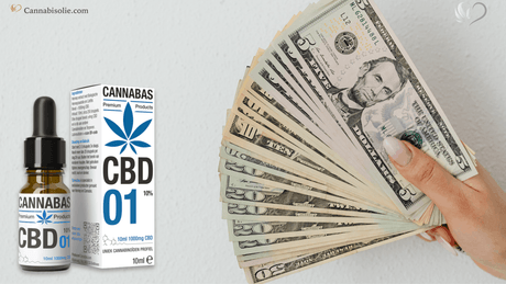 CBD Olie Kopen? De 12 Beste Tips