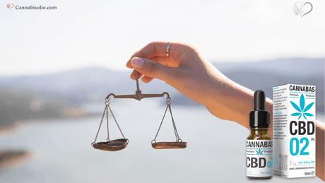 Nieuw jaar, meer balans voor lichaam en geest