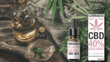 Waarom steeds meer mensen kiezen voor organische CBD olie