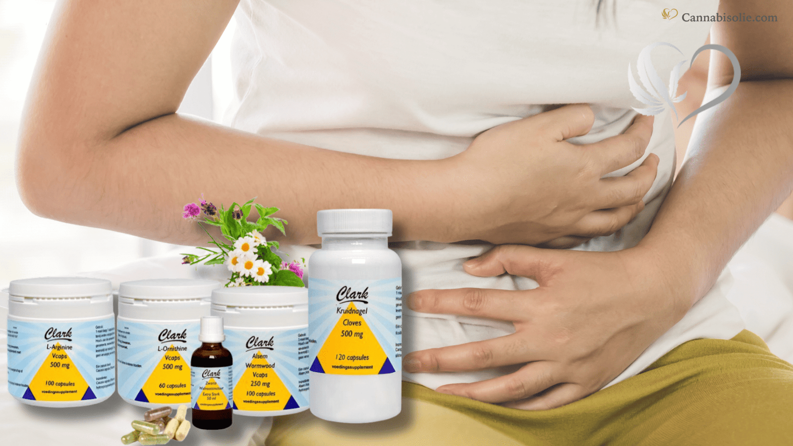 Parasieten in je lichaam: Wat zijn ze, hoe herken je ze en behandeling