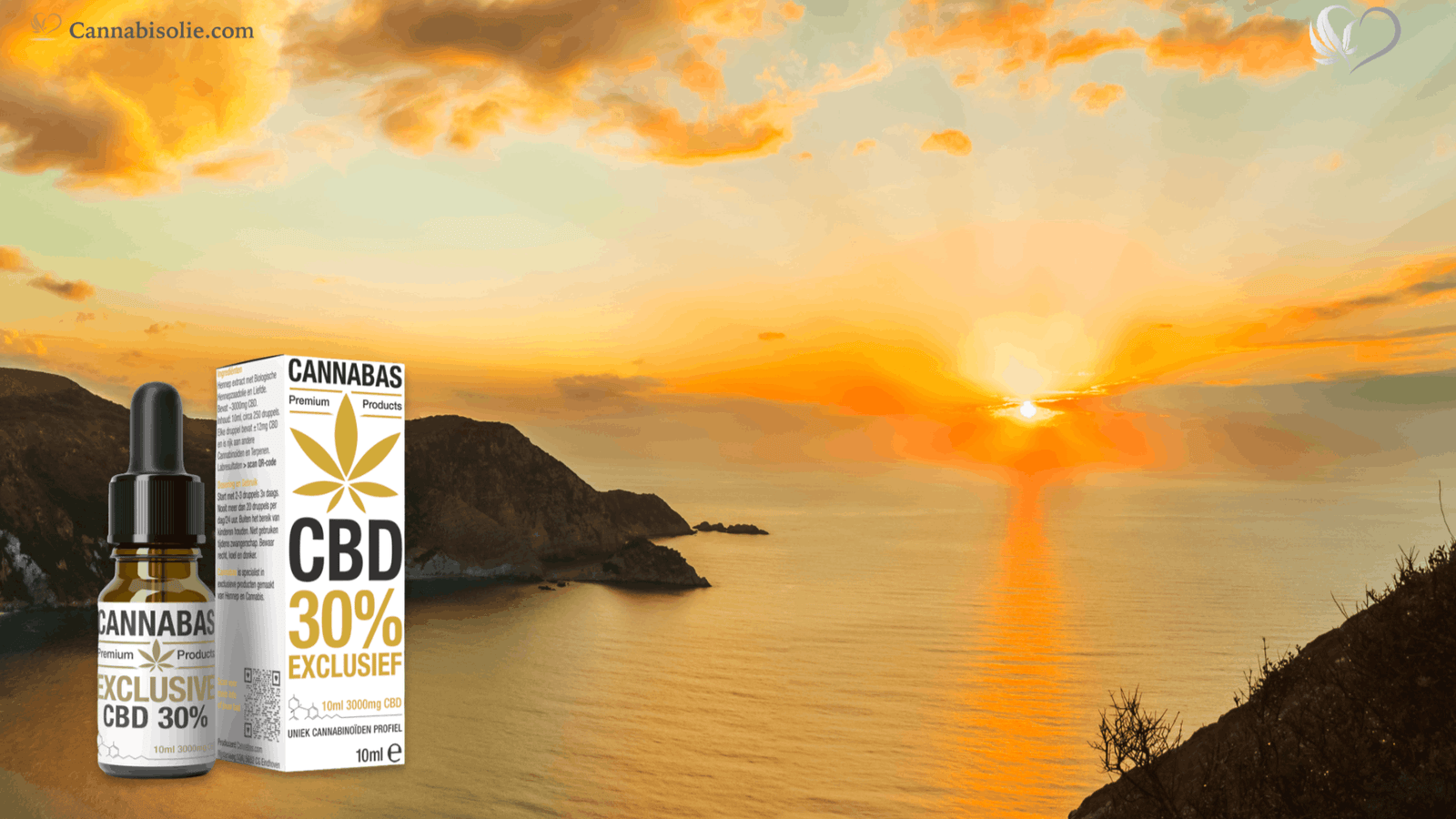 CBD olie en Zonsondergang: hoe je de dag rustiger afsluit
