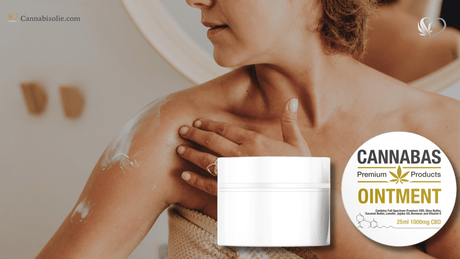 Is CBD zalf legaal? Wat je moet weten