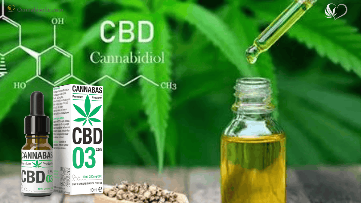 Wat is Cannabidiol Olie