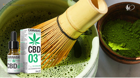 CBD olie en Matcha: Combineren met thee, latte, koffie of juice?