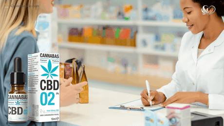 CBD olie Apotheek: kun je CBD olie bij de apotheek kopen?