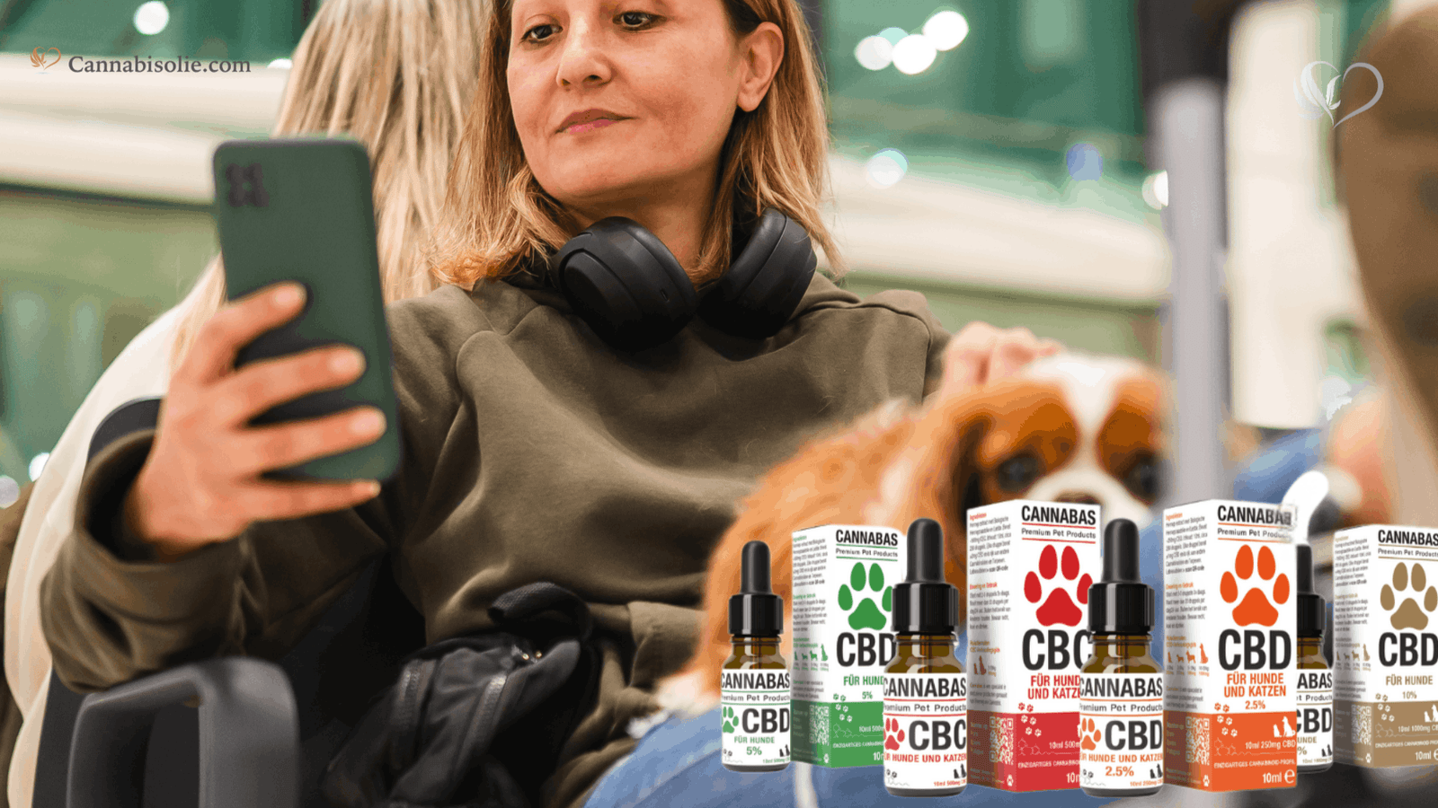 Kun je Reizen met CBD olie voor Dieren?