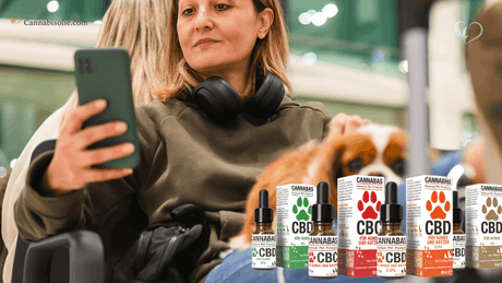 Kun je Reizen met CBD olie voor Dieren?