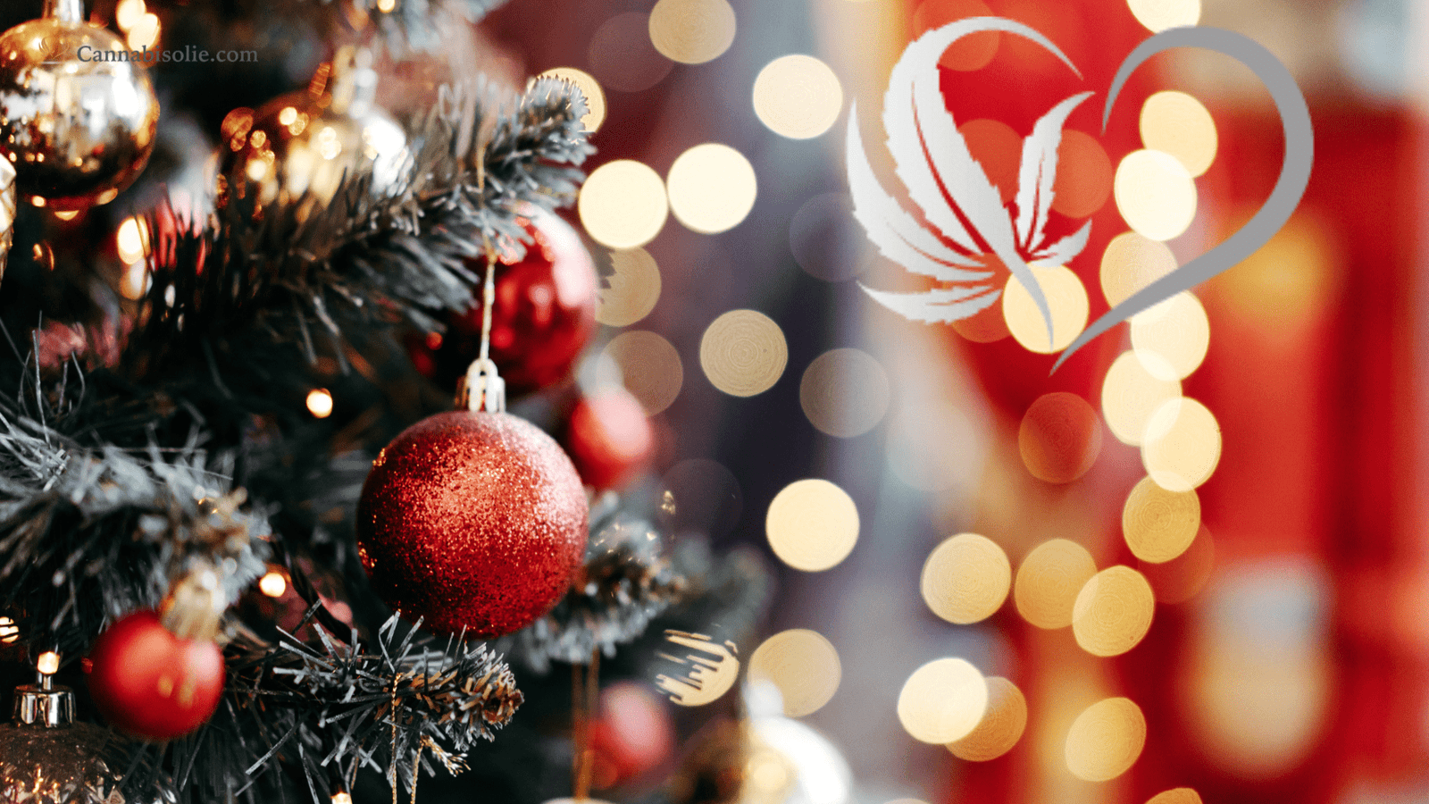 Kerstwensen vanuit Team Cannabisolie.com