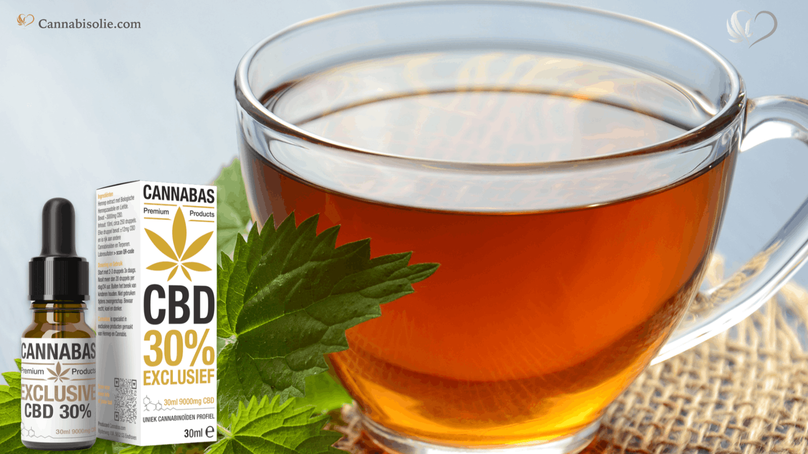 CBD Thee Maken: CBD olie aan Thee toevoegen