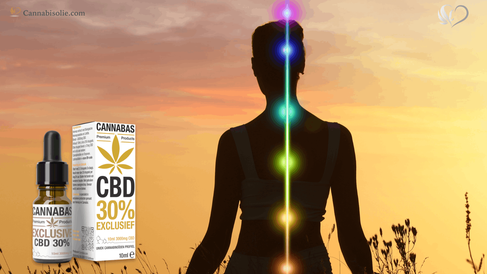 CBD Producten en Quantum Healing: een kijk op energie, rust en rituelen