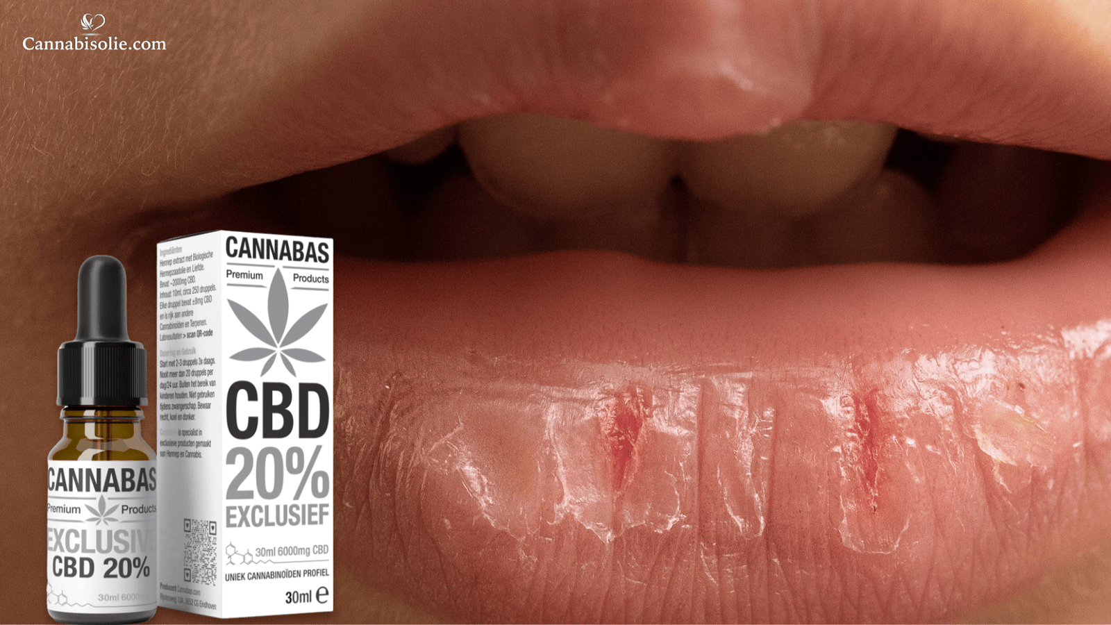 CBD olie en speekselproductie: invloed op droge mond