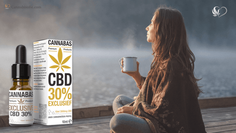 CBD olie en Stilte: waarom minder prikkels soms meer doet