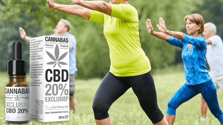 CBD en Qi Gong