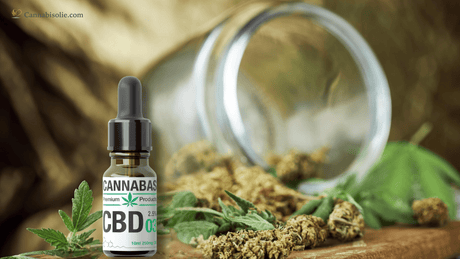 Kan CBD olie bederven? De houdbaarheidsdatum van CBD olie