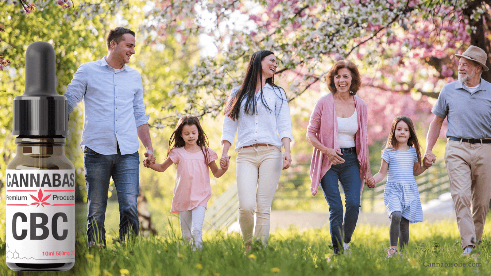 CBC olie voor alle leeftijden: Veilig en effectief gebruik uitgelegd