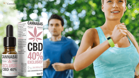CBD en het metabolisme: hoe je lichaam CBD verwerkt