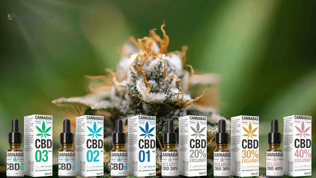 CBD olie Dosering Verhogen: Hoe doe je dat?