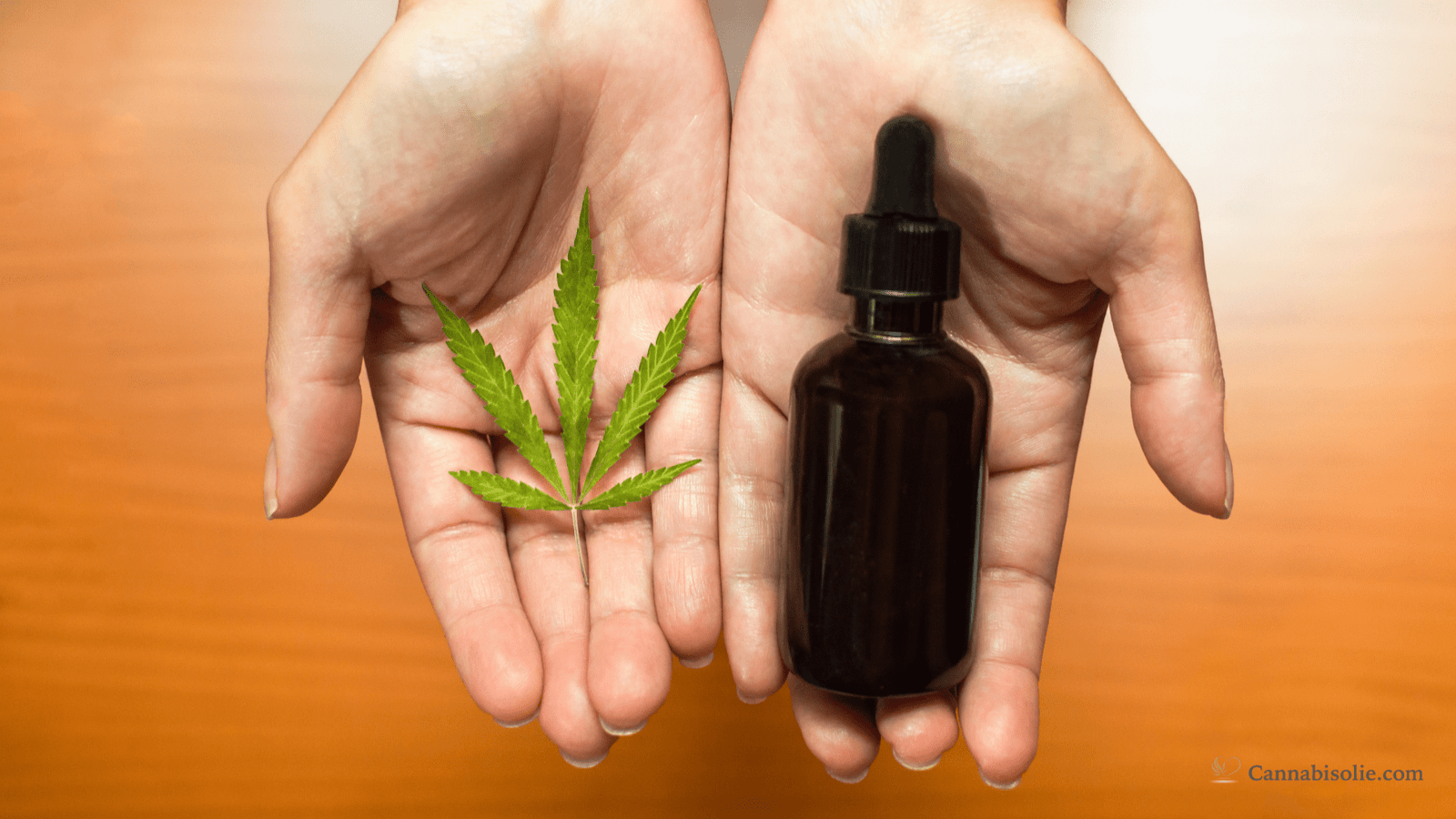 CBD olie versus huidverzorgingsproducten