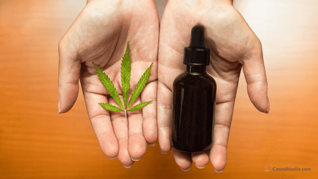 CBD olie versus huidverzorgingsproducten