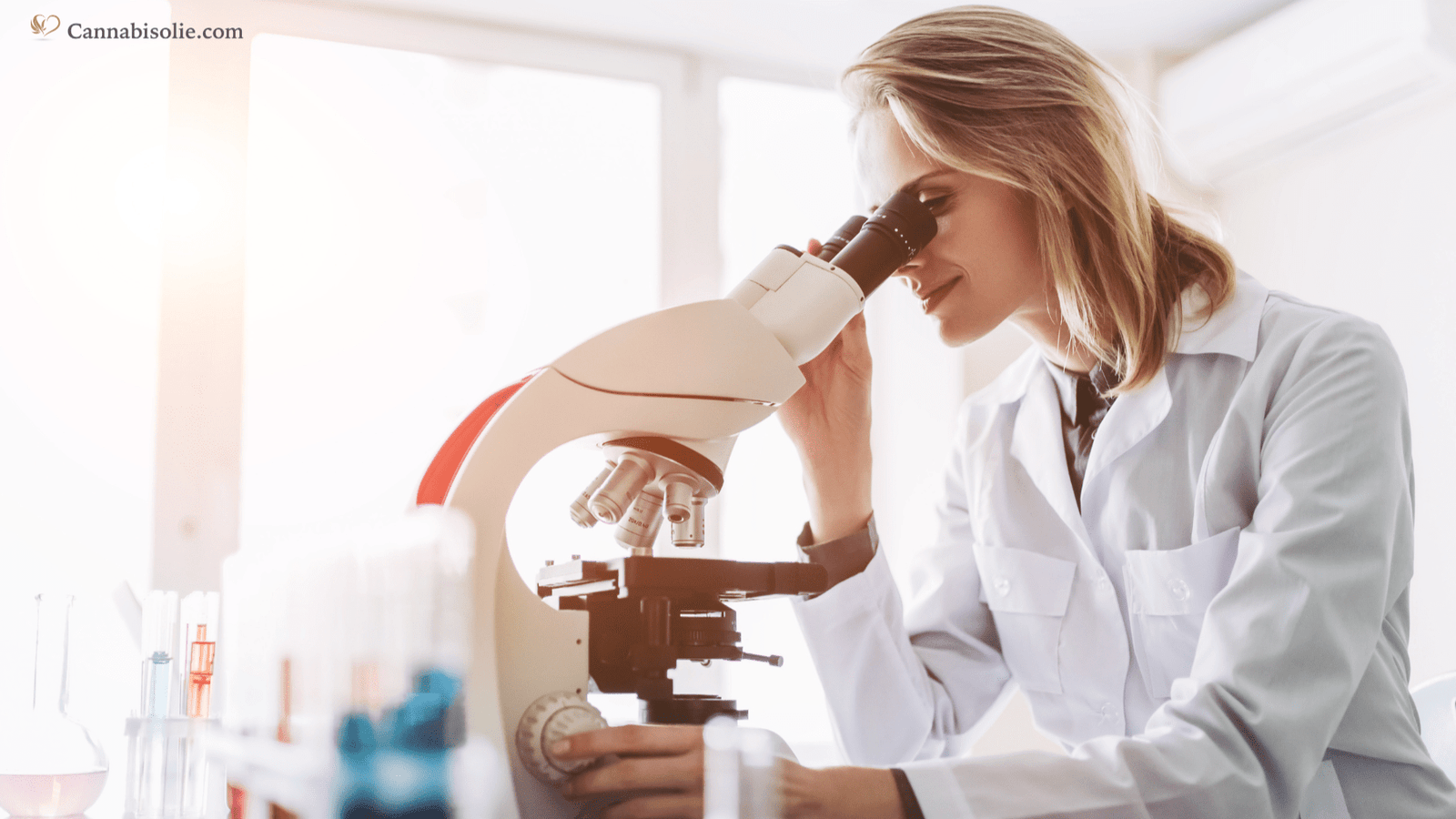 Onze labrapporten (COA) + gratis testservice