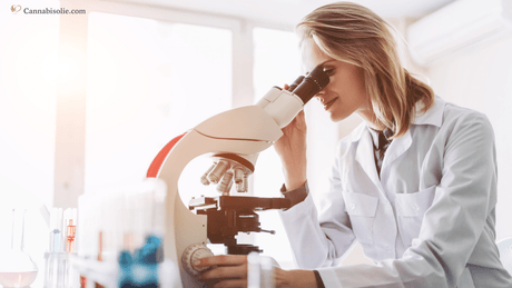 Onze labrapporten (COA) + gratis testservice