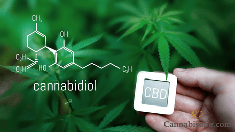 cannabidiol