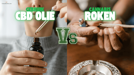 Cannabis Roken versus CBD olie gebruiken